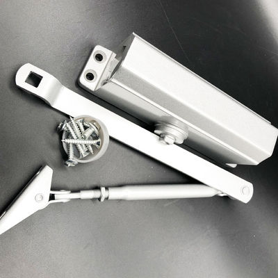 Hotel Glass Door Concealed Closer for Temperature -40 degree-80 degree and Long Lifespan