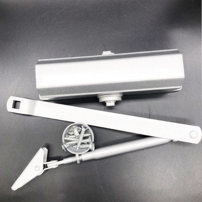 Hotel Glass Door Concealed Closer for Temperature -40 degree-80 degree and Long Lifespan