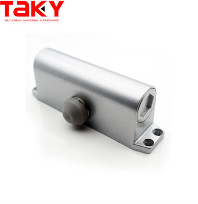 45-65 KG Bearing Capacity Aluminum Automatic Door Closer with 2 Speeds and Consumption
